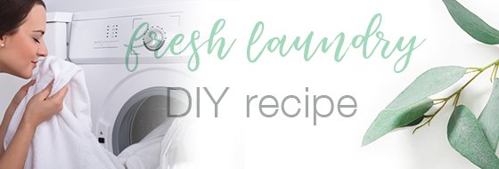 Fresh Laundry DIY Recipe
