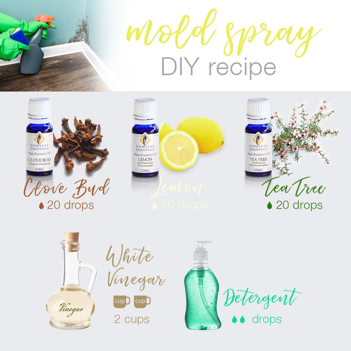 Homemade Anti Mold Spray & Bathroom Cleaner