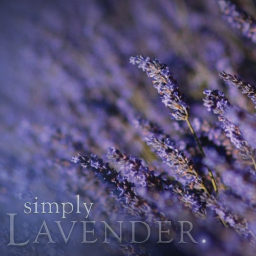 LAVENDER TRAVEL TIN SOY CANDLE