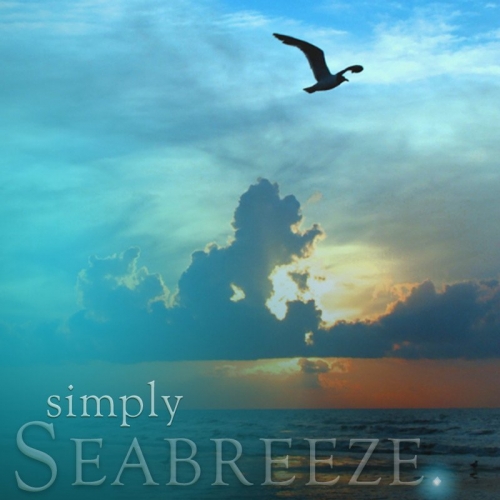 SEABREEZE TRAVEL TIN SOY CANDLE