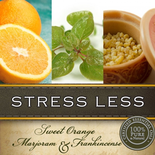 STRESS LESS ARTISAN SOY CANDLE